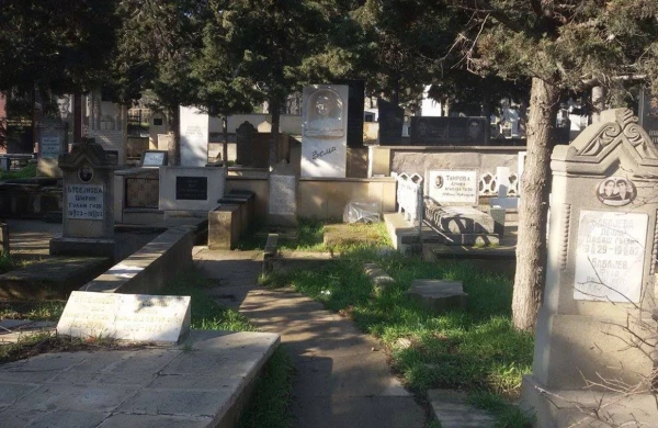 Süfrələrdən əskik olmayan bu çərəz qəbiristanlıq bitkisiymiş... 