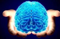 Görmə itkisi və beyin: illüziyalar və yuxular necə dəyişir?&nbsp;&nbsp;