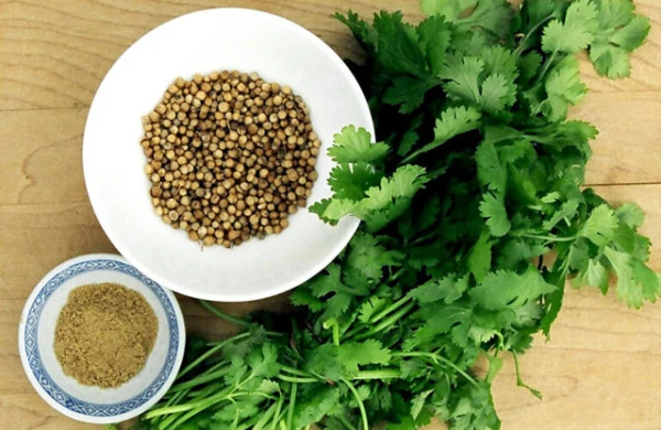 Təzyiqi və şəkəri salan, qaraciyəri təmizləyən göyərti. 3 faydalı resept