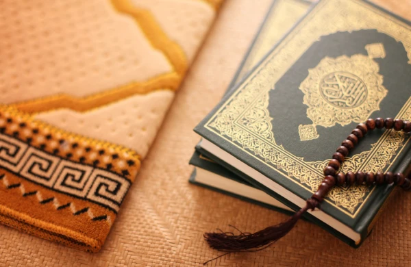 Qurani-Kərimdə adı çəkilən heyvanlar hansılardır?&nbsp; &nbsp;—&nbsp; MƏNALARI AÇIQLADI