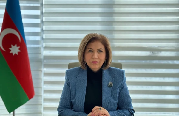 Bahar Muradova Gəncədə vətəndaşları qəbul edəcək&nbsp;