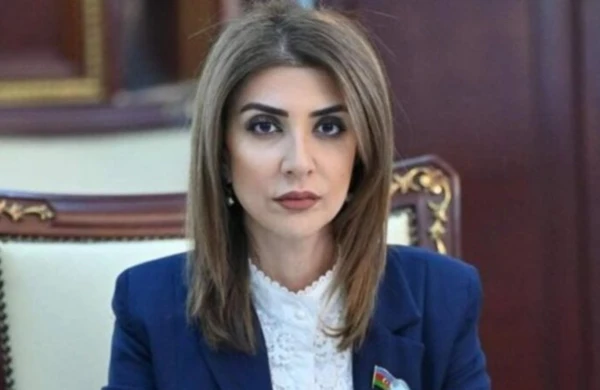 “Cənubi Qafqazın gələcəyi Azərbaycanın iradəsi ilə müəyyən olunur”- Günay Ağamalı&nbsp; &nbsp;