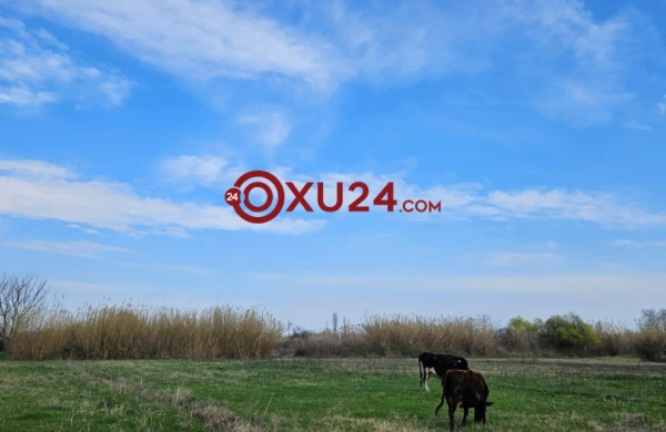 3 apreldə hava NECƏ OLACAQ?    —   PROQNOZ