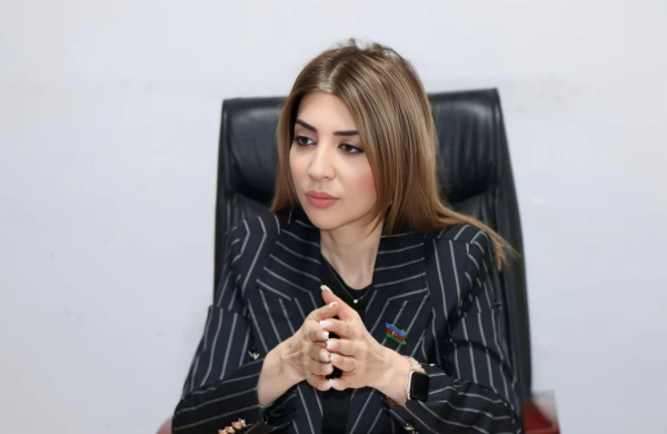 “Cənubi Qafqazın gələcəyi Azərbaycanın iradəsi ilə müəyyən olunur”- Günay Ağamalı   