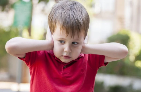 Autizm spektri olan uşaqların ümumtəhsil məktəblərində təhsili: inklüziv cəmiyyətə aparan yol&nbsp;&nbsp;