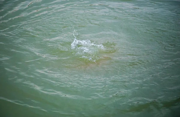 &nbsp;37 yaşlı kişi kanalda boğulub&nbsp;