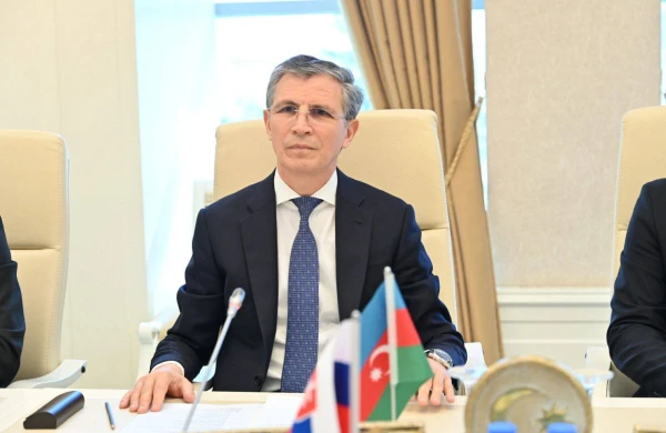 Milli Məclisinin İnsan hüquqları komitəsində slovakiyalı Ombudsmanla görüş keçirilib - FOTO