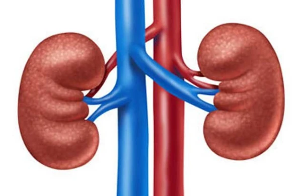 7 əsas faktor – Həkimlər xəbərdarlıq edir&nbsp;&nbsp;