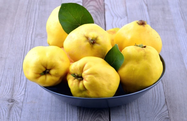 Heyvanın möcüzələri hər kəsi heyrətləndirir  