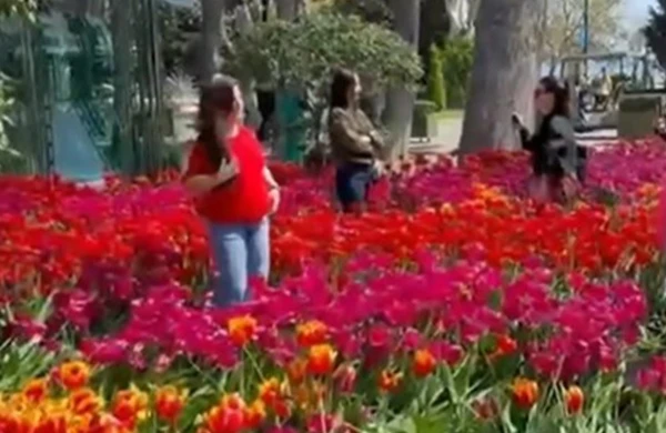 Bulvarda gülləri əzən qadınlar görün kimlər imiş&nbsp; -VİDEO YAYILDI