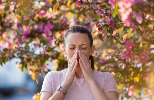 Yaz allergiyanız varsa, mütləq bunlara əməl edin! 