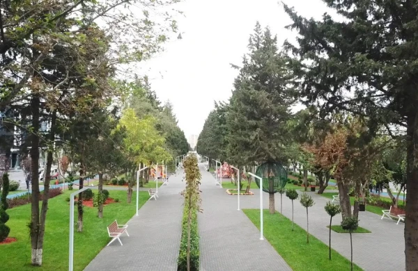 Parkları zəbt edən kafe, restoran və attraksionlar – ictimai məkanlar kimindir?&nbsp;&nbsp;