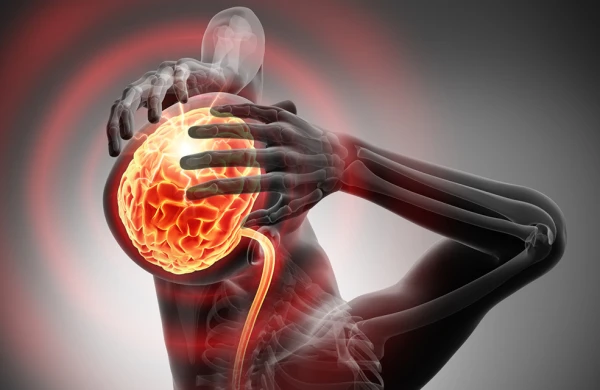 Nevroloqdan xəbərdarlıq: Ənsədən başlayan ağrılar ciddi siqnal ola bilər&nbsp;&nbsp;