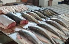 Xaricdən kiloqramı 2 manata alınan balıq niyə 35 manata satılır? – VİDEO