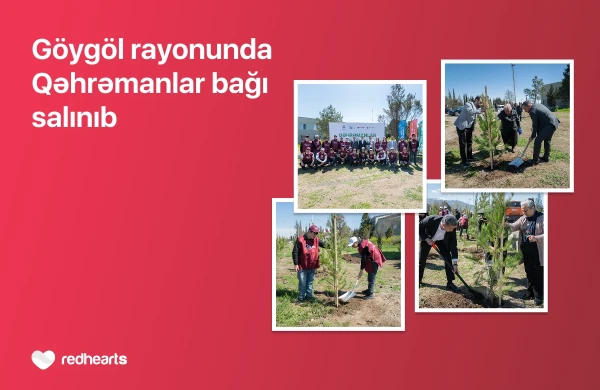 Göygöldə “Qəhrəmanlar bağı” aksiyası keçirilib&nbsp;