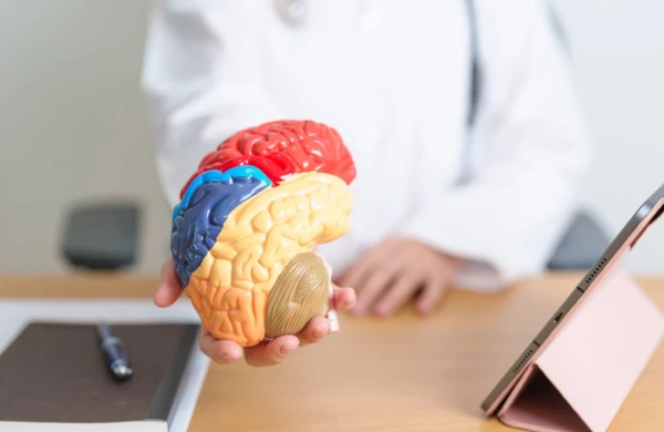 Uzman nevroloq Nailə Ələkbərova: “Beyin qanaması keçirmiş xəstələrdə qidalanma xüsusi diqqət tələb edir”&nbsp;&nbsp;