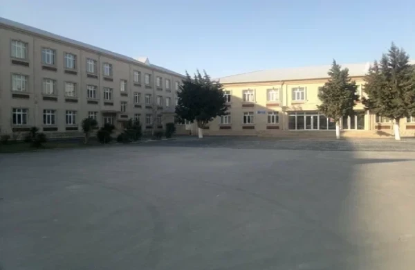 Bakıda məktəbdə 7 şagird qoğaldan zəhərlənib - FOTO