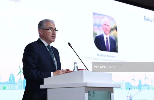 Muxtar Babayev: İqlim dəyişiklikləri planlaşdırmanı çətinləşdirir, investisiya risklərini artırır&nbsp;