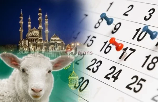 Qurban paylayarkən bu səhvləri ETMƏYİN!&nbsp;