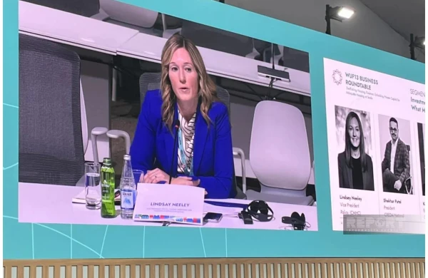 Lindsi Nili: "Kanadada mənzil problemini həll etmək üçün 1 trilyon dollar lazımdır"&nbsp;