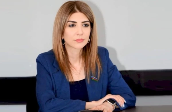 “Uşaqpulu tənbəllik yarada bilər” – Deputatın açıqlaması gündəm oldu&nbsp;