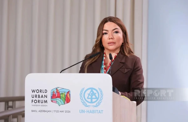 Aygün Əliyeva: QHT-lər cəmiyyətin ekoloji məlumatlılığını artırmağa kömək edir&nbsp;