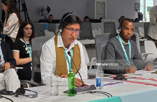 Boliviya nümayəndəsi: İnkişaf aborigen xalqların köçürülməsi hesabına olmamalıdır&nbsp;