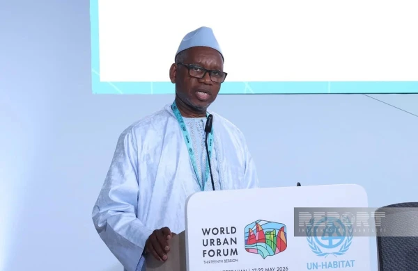 Usman Sou: Kənd yerlərində gəlirlərin azalması Malidə urbanizasiyanı gücləndirir&nbsp;