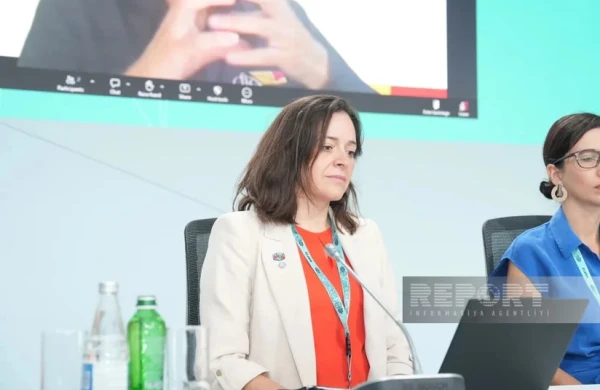 Fiona Littlejohn: "Şəhərləşmə Latın Amerikası və Karib hövzəsində qeyri-bərabərliyi dərinləşdirir"&nbsp;