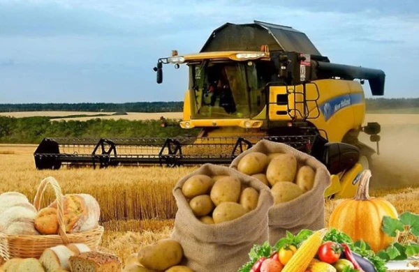 Nazirlik rəsmi rəqəmləri yaydı: Azərbaycanda istehsalat nə yerdədir?