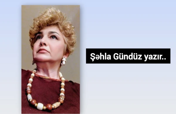 Mən dayaq axtarmadım, öz əlimdə çəliyəm — Şəhla Gündüz yazır