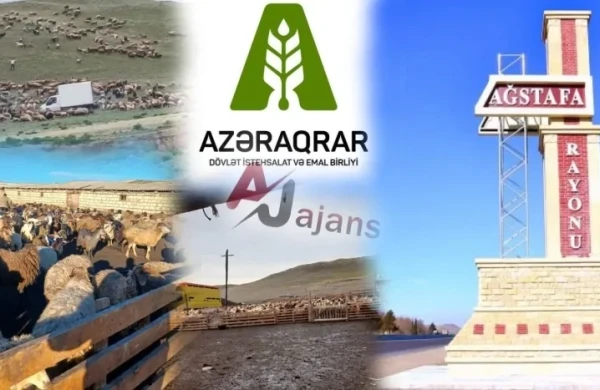 Şəhid yoldaşı Azəraqrardan ŞİKAYƏTÇİDİR: Torpaq var amma müqavilə İMZALANMAYIB&nbsp;