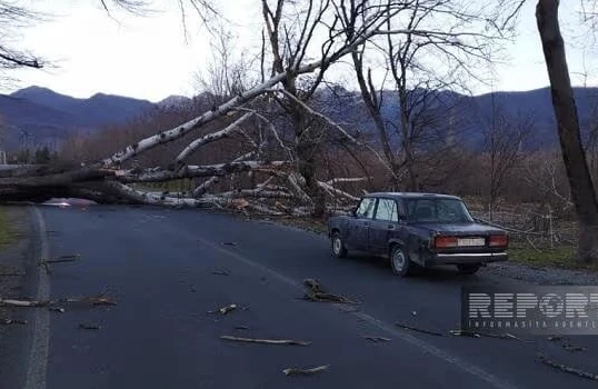 Göyçayda güclü külək fəsadlara yol açıb&nbsp;