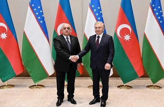 Əli Əsədov Özbəkistan prezidenti ilə görüşdü&nbsp;