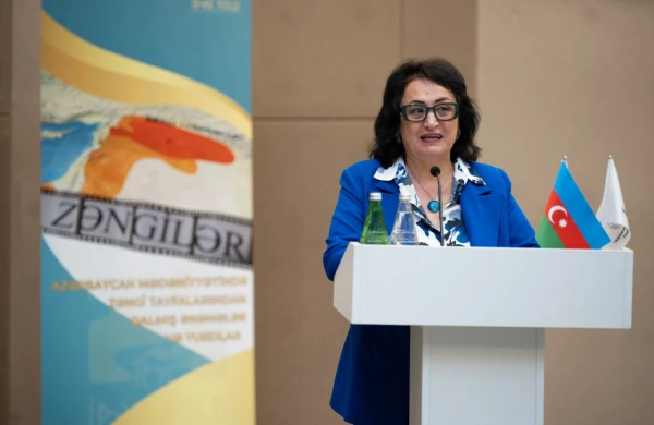 “Zəngilər” layihəsi gənclərə təqdim olundu