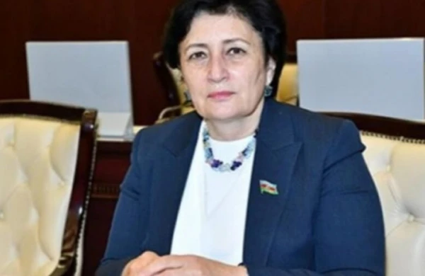Məlahət İbrahimqızı: AYNA ilə bağlı şikayətlər artır