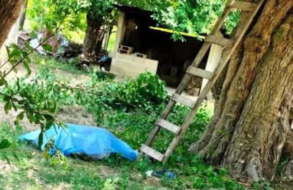 71 yaşlı kişi ağacdan yıxılaraq həyatını itirdi
