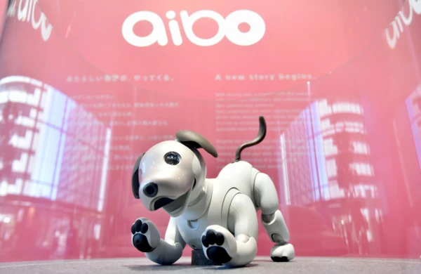 Sony Yaponiyada robot it “aibo”nun satışını dayandırıb