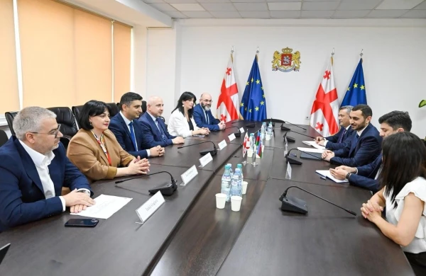 DSMF sədri Gürcüstan Sosial Xidmət Agentliyinin direktoru ilə görüşüb&nbsp;