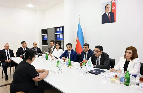 Fərid Qayıbov Ağdamda vətəndaş qəbulu keçirib&nbsp;