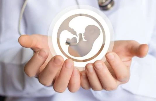 Qadın ərinin razılığı olmadan abort etdirə bilərmi? – Qanun nə deyir?&nbsp;&nbsp;