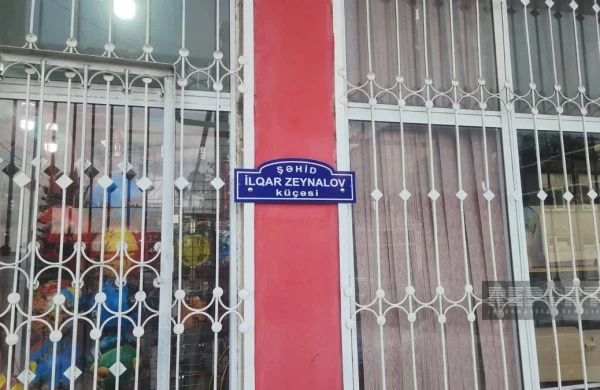 Cəlilabadda beş küçəyə şəhidlərin adı verilib 