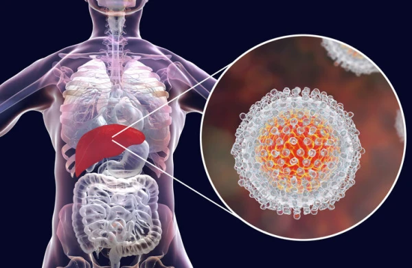 Hepatit B və C arasında fərq nədir? – Mütəxəssis izah etdi