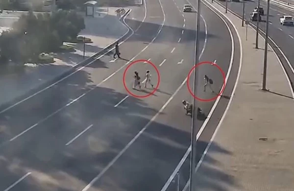 Bakıda piyadalara görə motosikletçi qəzaya düşdü