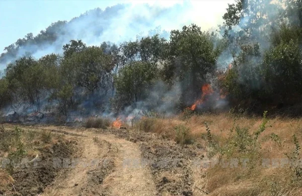 Ağdamın Kəngərli kəndində açıq ərazidə yanğın başlayıb&nbsp;