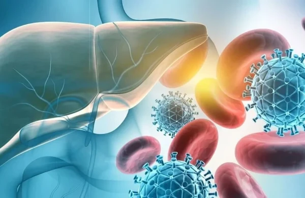 Autoimmun hepatit zamanı bədən öz hüceyrələrinə necə hücum edir? —&nbsp;Mütəxəssisdən VACİB AÇIQLAMA