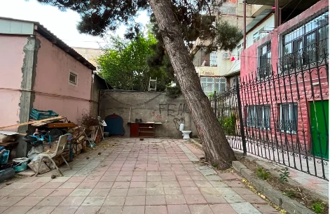 Biləcəridə sakinlər təhlükə içində: “Ağac hər an evlərin üzərinə aşa bilər”— Qurumlar isə susur (VİDEO)  