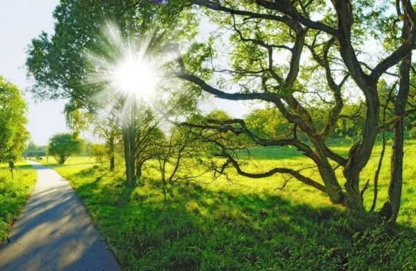 Sabahın havası açıqlandı&nbsp;