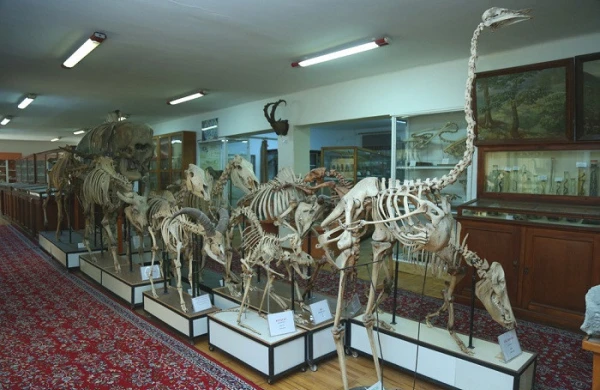 Bakıda 22,5 milyon manata muzey yaradılacaq&nbsp;