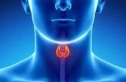 Qalxanabənzər vəz üçün vitamin içirsiniz? – Həkimdən vacib XƏBƏRDARLIQ  